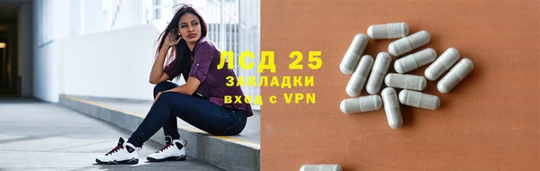 спиды Аркадак
