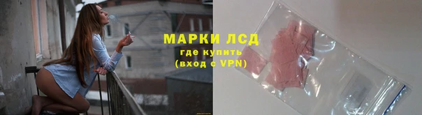 спиды Аркадак